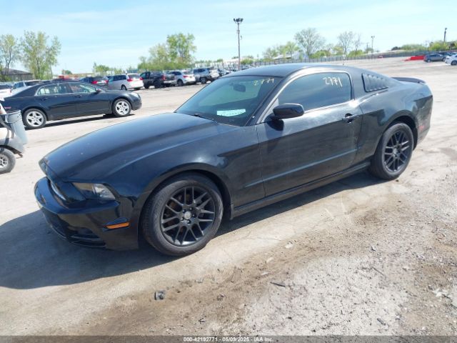 1ZVBP8AMXE5299251 Ford Mustang V6