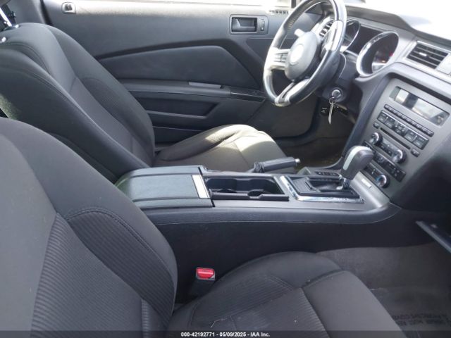 1ZVBP8AMXE5299251 Ford Mustang V6