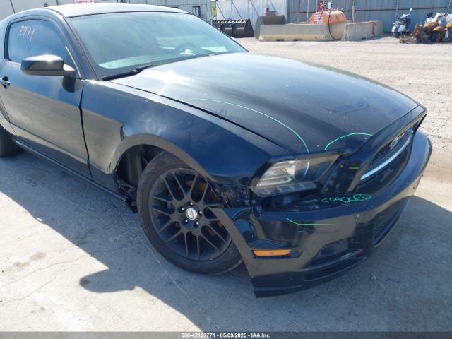 1ZVBP8AMXE5299251 Ford Mustang V6