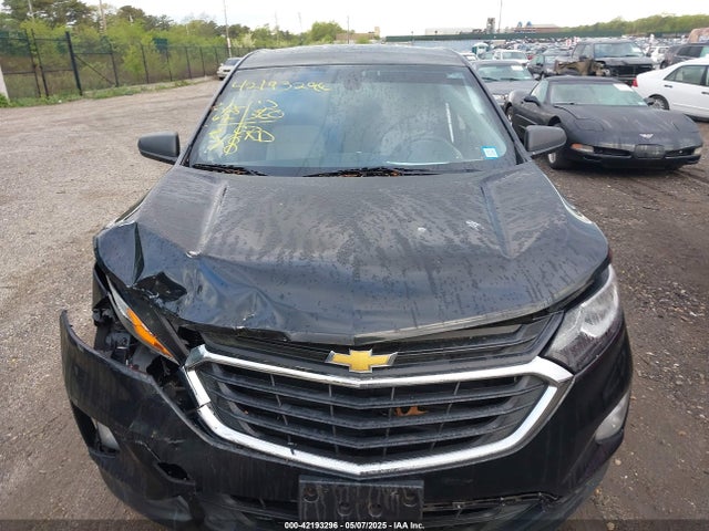 3GNAXHEV6KL202180 Chevrolet EQUINOX LS