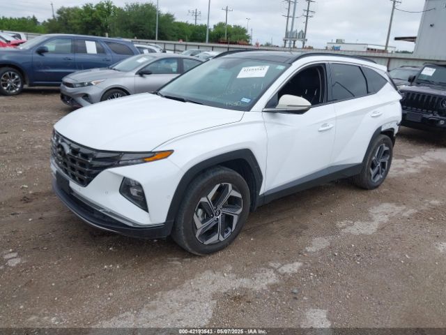 KM8JECA13PU089530 Hyundai Tucson Hybrid Limited