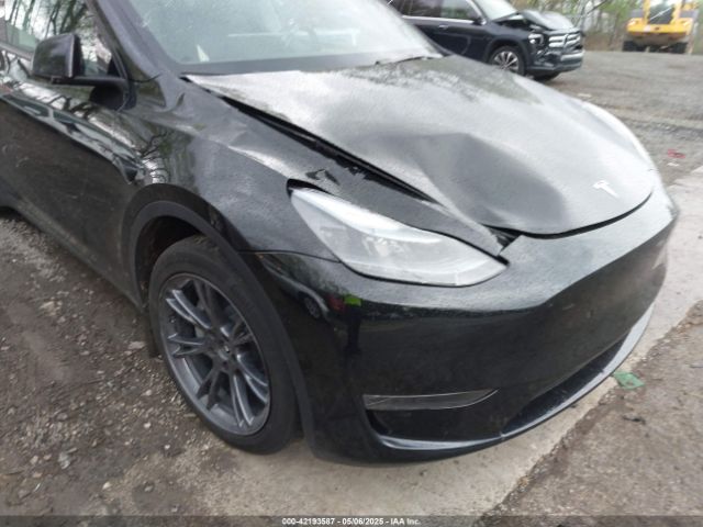 2025 TESLA MODEL Y 7SAYGDEE9SA367039 Photo 5