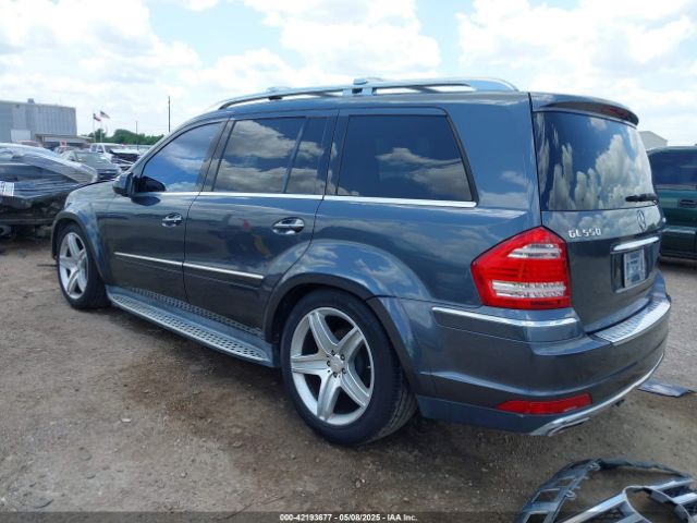 2010 MERCEDES-BENZ GL 550 4JGBF8GE8AA573694 Photo 2