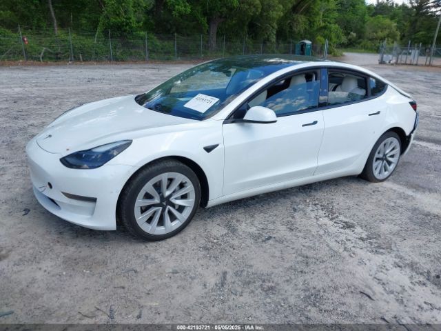 2021 TESLA MODEL 3 5YJ3E1EA9MF060081 Photo 1