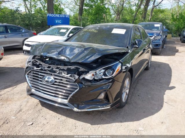 5NPE24AFXKH760243 Hyundai SONATA SE