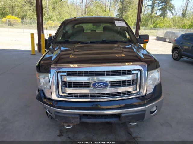 1FTFW1EF4EKF81901 Ford F-150 Xlt