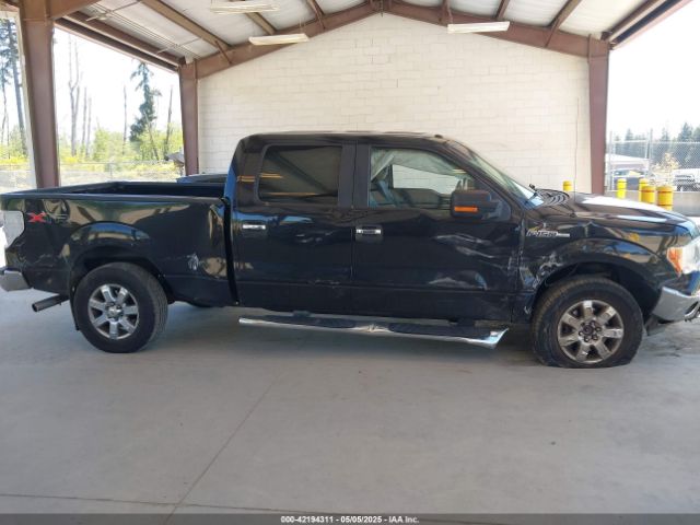 1FTFW1EF4EKF81901 Ford F-150 Xlt