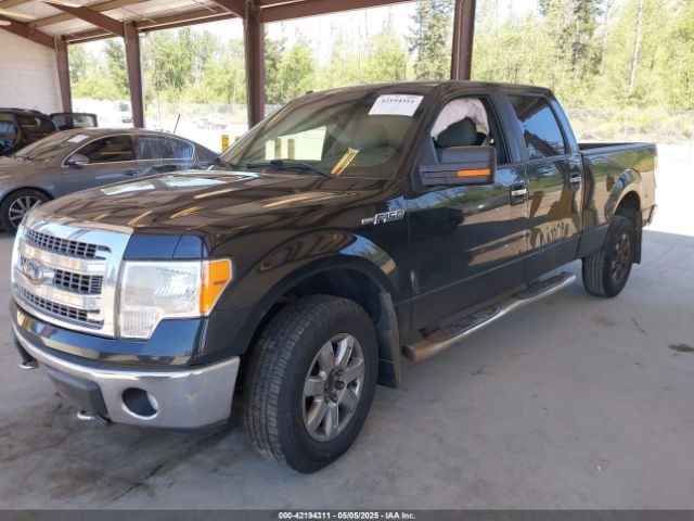 1FTFW1EF4EKF81901 Ford F-150 Xlt