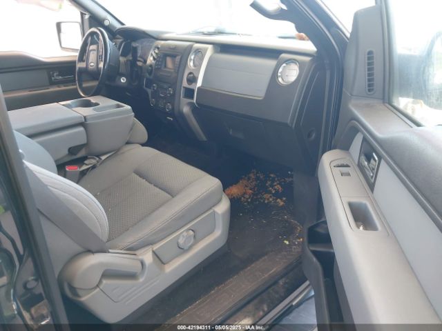 1FTFW1EF4EKF81901 Ford F-150 Xlt