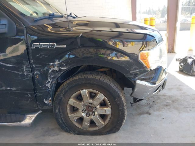 1FTFW1EF4EKF81901 Ford F-150 Xlt