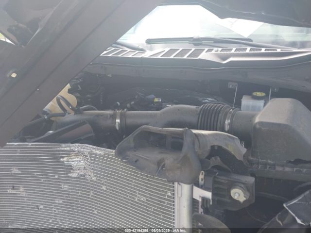 1FTEW1EP0PFB06150 Ford F-150 Xlt
