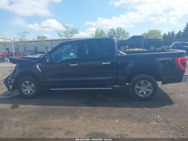 1FTEW1EP0PFB06150 Ford F-150 Xlt