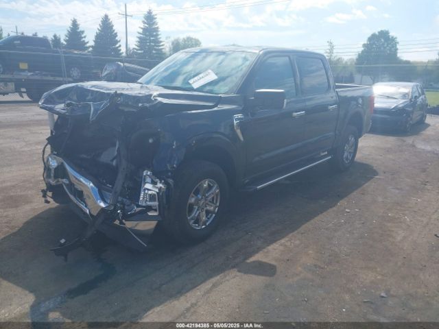 1FTEW1EP0PFB06150 Ford F-150 Xlt