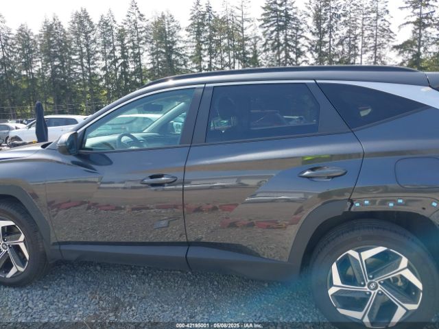 5NMJFCAE6PH162613 Hyundai TUCSON SEL
