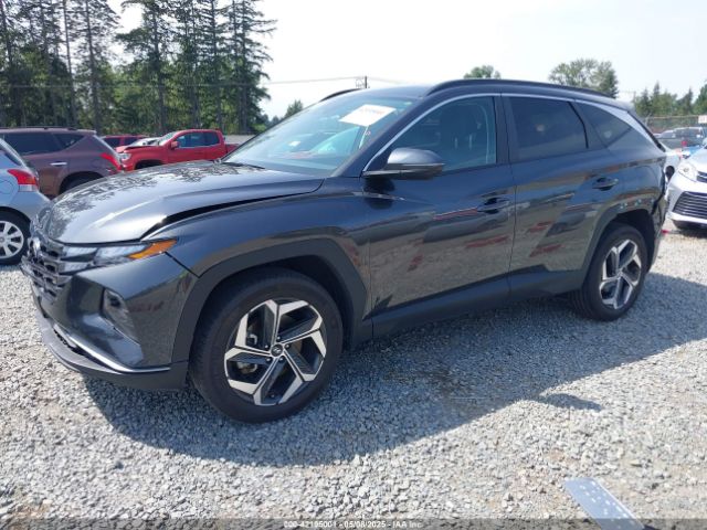 5NMJFCAE6PH162613 Hyundai TUCSON SEL