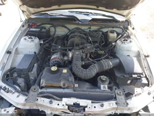 2007 FORD MUSTANG 1ZVFT80N575365456 Photo 9