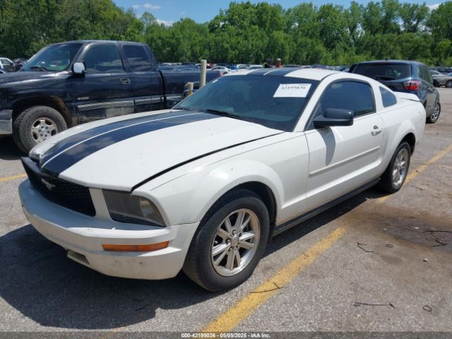 2007 FORD MUSTANG 1ZVFT80N575365456 Photo 1