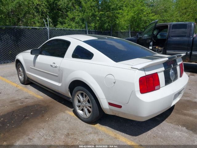 2007 FORD MUSTANG 1ZVFT80N575365456 Photo 2