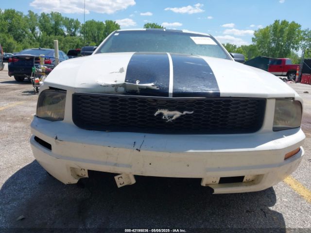 2007 FORD MUSTANG 1ZVFT80N575365456 Photo 5