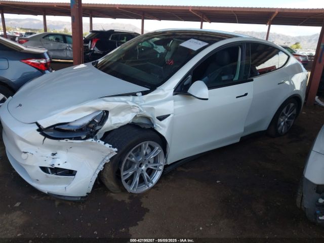 2024 TESLA MODEL Y 7SAYGDED6RF056253 Photo 1