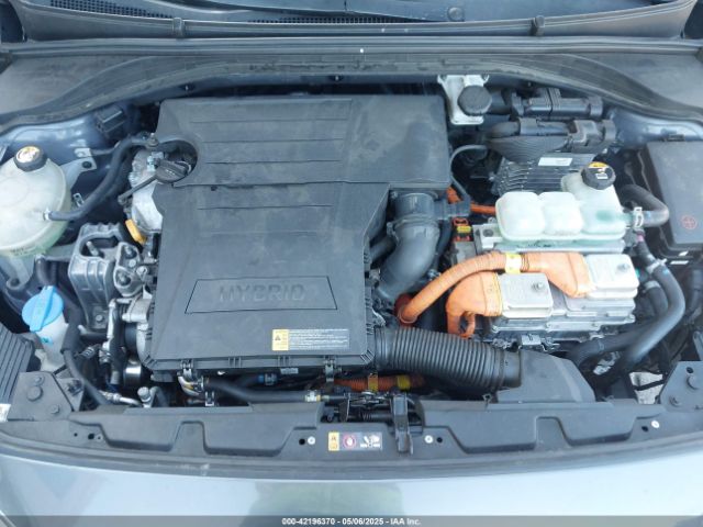 KMHC65LC6KU179800 Hyundai Ioniq Hybrid Blue