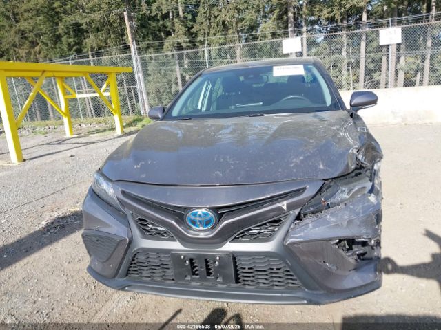 4T1S31AK3MU568131 Toyota Camry Se Hybrid