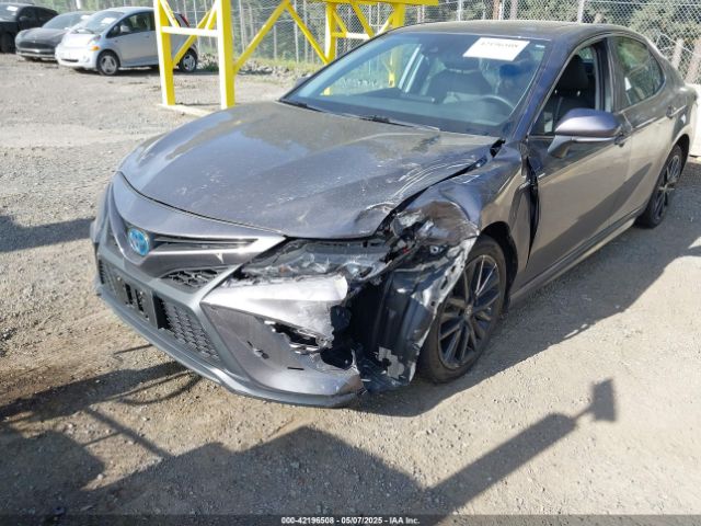 4T1S31AK3MU568131 Toyota Camry Se Hybrid