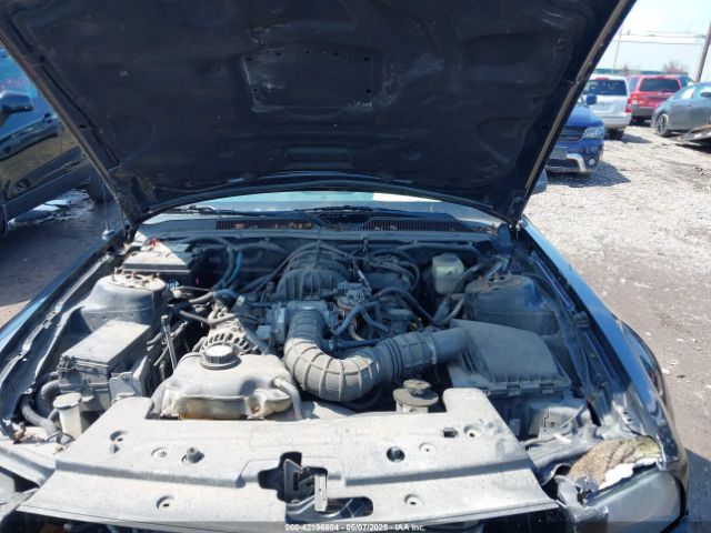 2007 FORD MUSTANG 1ZVFT80N675361920 Photo 9