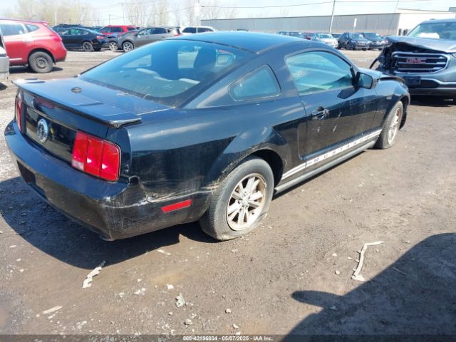 2007 FORD MUSTANG 1ZVFT80N675361920 Photo 3