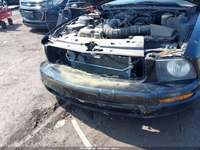 2007 FORD MUSTANG 1ZVFT80N675361920 Photo 5