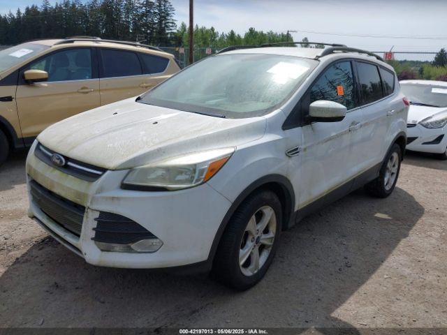 1FMCU9GX0EUC02583 Ford ESCAPE SE