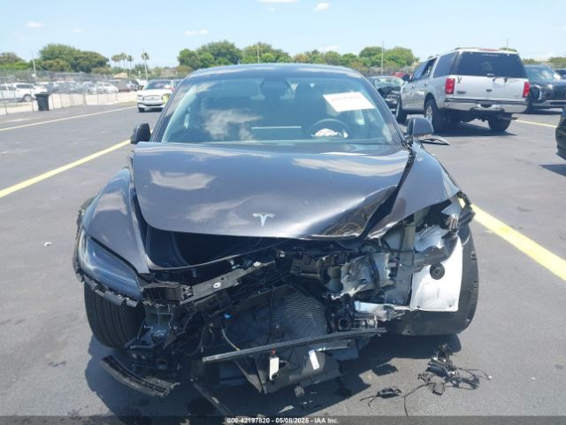 2025 TESLA MODEL 3 5YJ3E1EA0SF903825 Photo 5