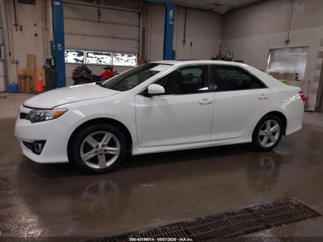 4T1BF1FK5EU806188 Toyota CAMRY SE