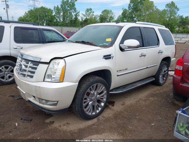 2007 CADILLAC ESCALADE 1GYFK63837R304030 Photo 1