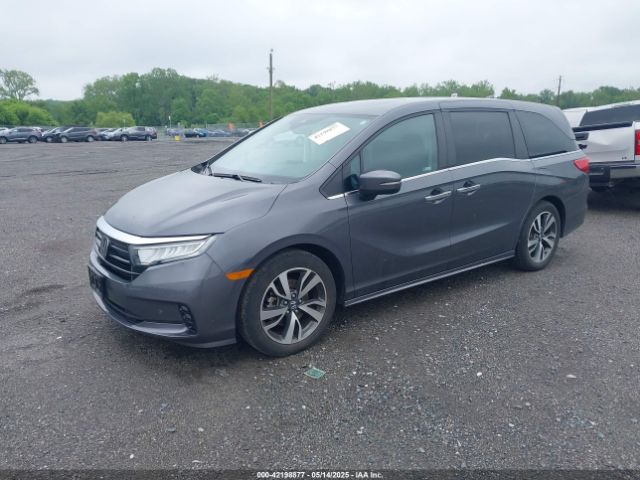 2023 HONDA ODYSSEY 5FNRL6H87PB019264 Photo 1
