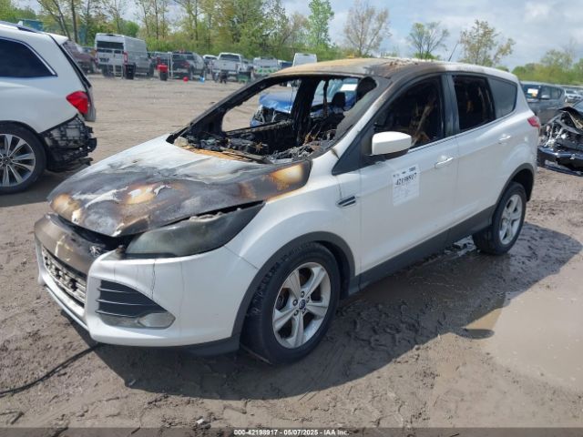 1FMCU0GX9EUC28711 Ford ESCAPE SE