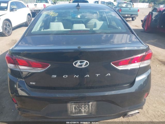 5NPE24AF8KH790521 Hyundai SONATA SE