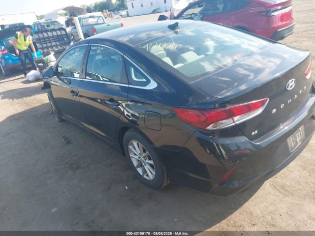 5NPE24AF8KH790521 Hyundai SONATA SE