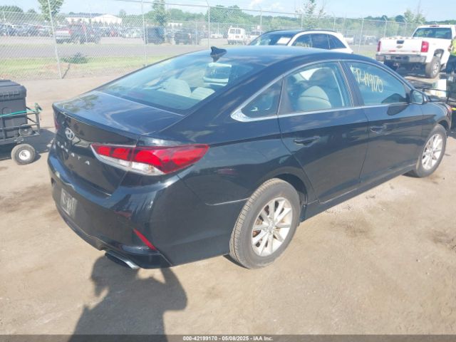 5NPE24AF8KH790521 Hyundai SONATA SE