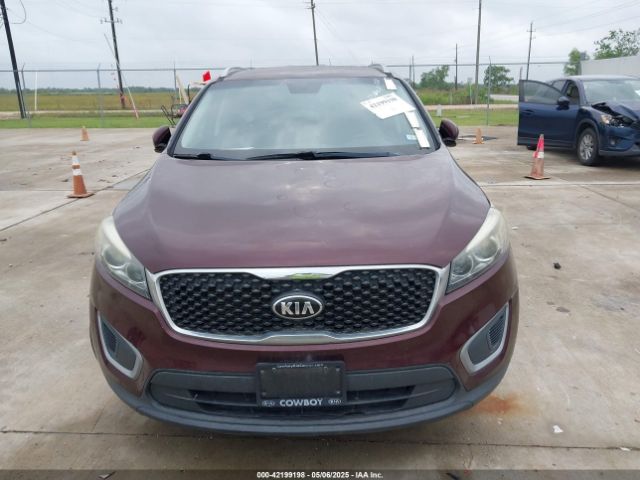5XYPG4A31HG259077 KIA Sorento 2.4l Lx