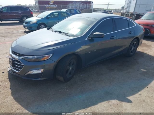 2019 CHEVROLET MALIBU 1G1ZB5ST9KF145262 Photo 1