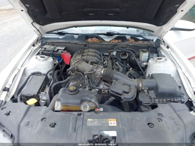2013 FORD MUSTANG 1ZVBP8AMXD5205416 Photo 9