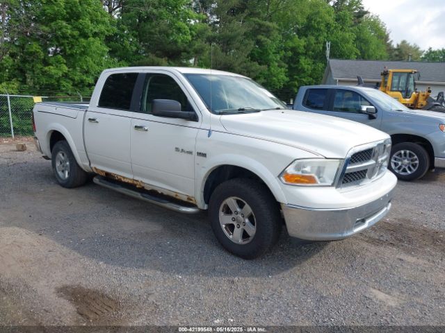 2009 DODGE RAM 1500 1D3HV13T49J526520