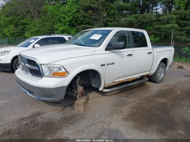 2009 DODGE RAM 1500 1D3HV13T49J526520 Photo 1