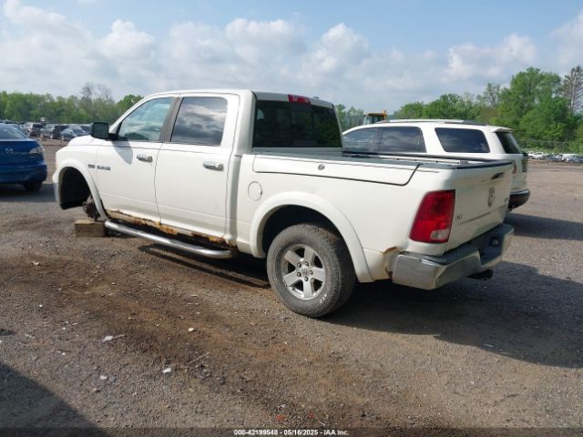 2009 DODGE RAM 1500 1D3HV13T49J526520 Photo 2