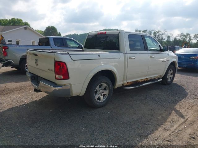 2009 DODGE RAM 1500 1D3HV13T49J526520 Photo 3