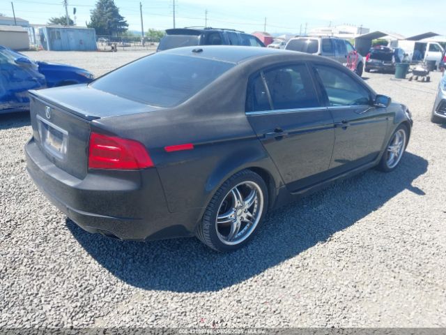 2005 ACURA TL 19UUA66255A042807 Photo 3