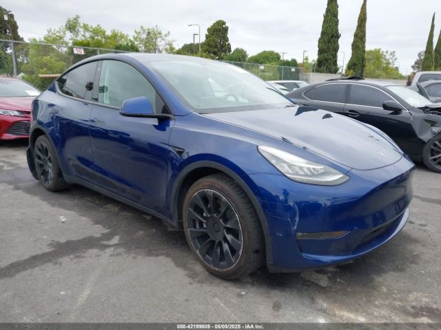 2021 TESLA MODEL Y 5YJYGDEE1MF282196 Photo 0