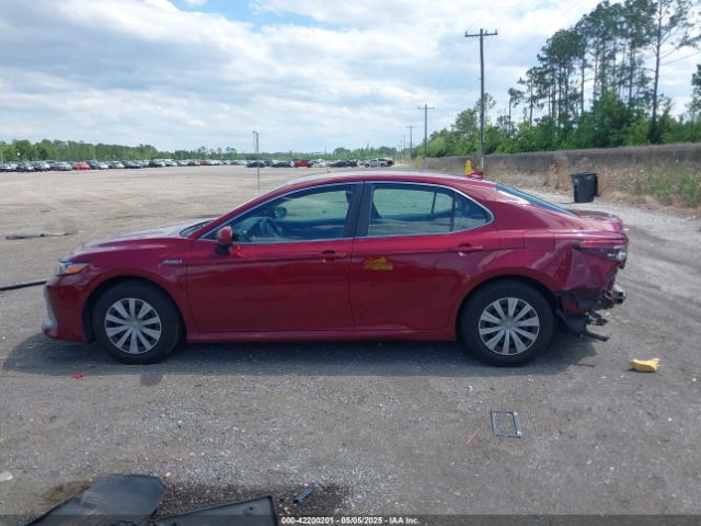 4T1C31AK5MU030115 Toyota Camry Le Hybrid