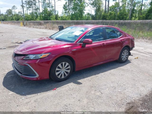 4T1C31AK5MU030115 Toyota Camry Le Hybrid